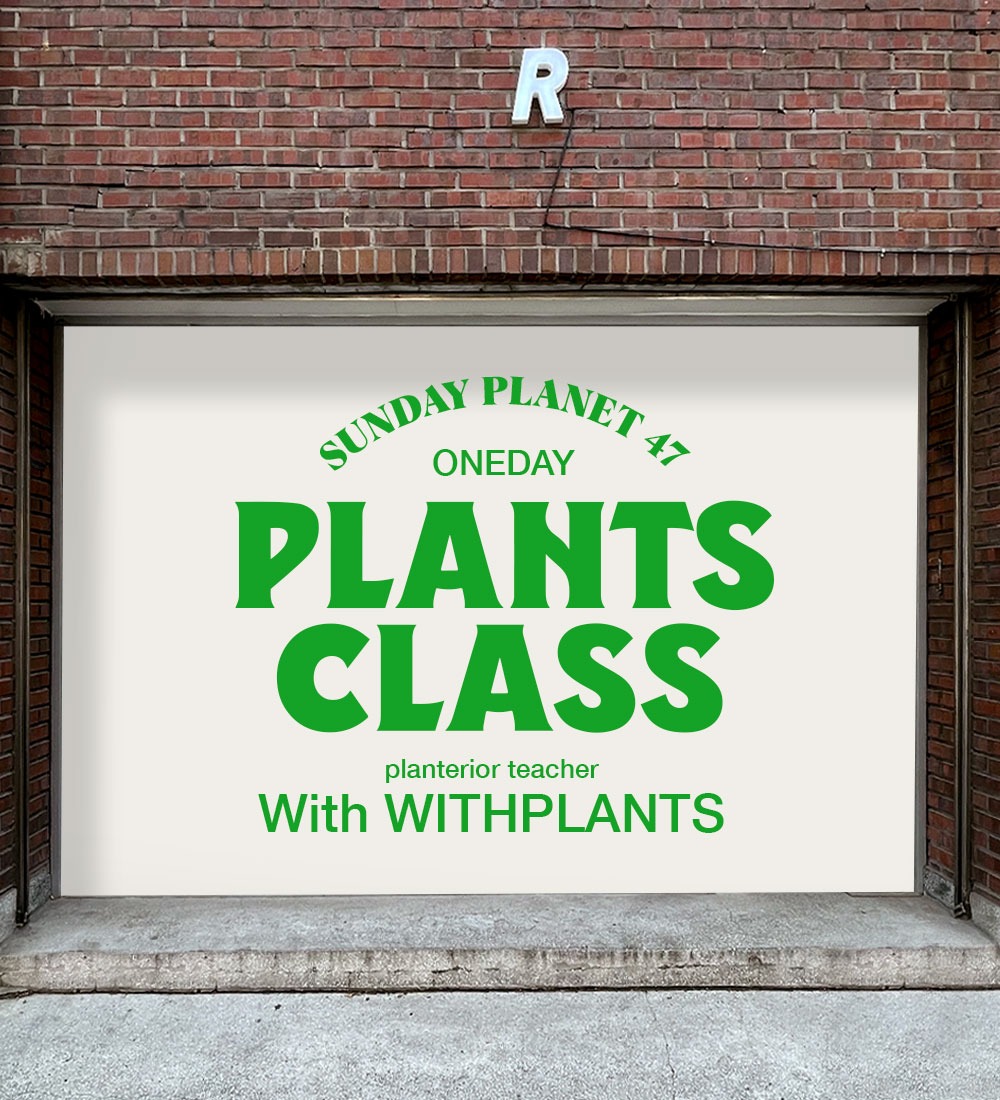 Oneday plants class 예약