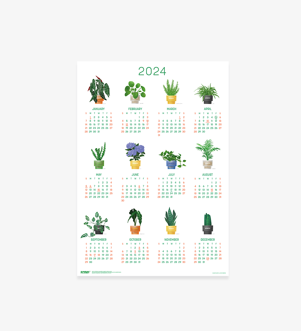 2024 식물 일러스트 캘린더 포스터