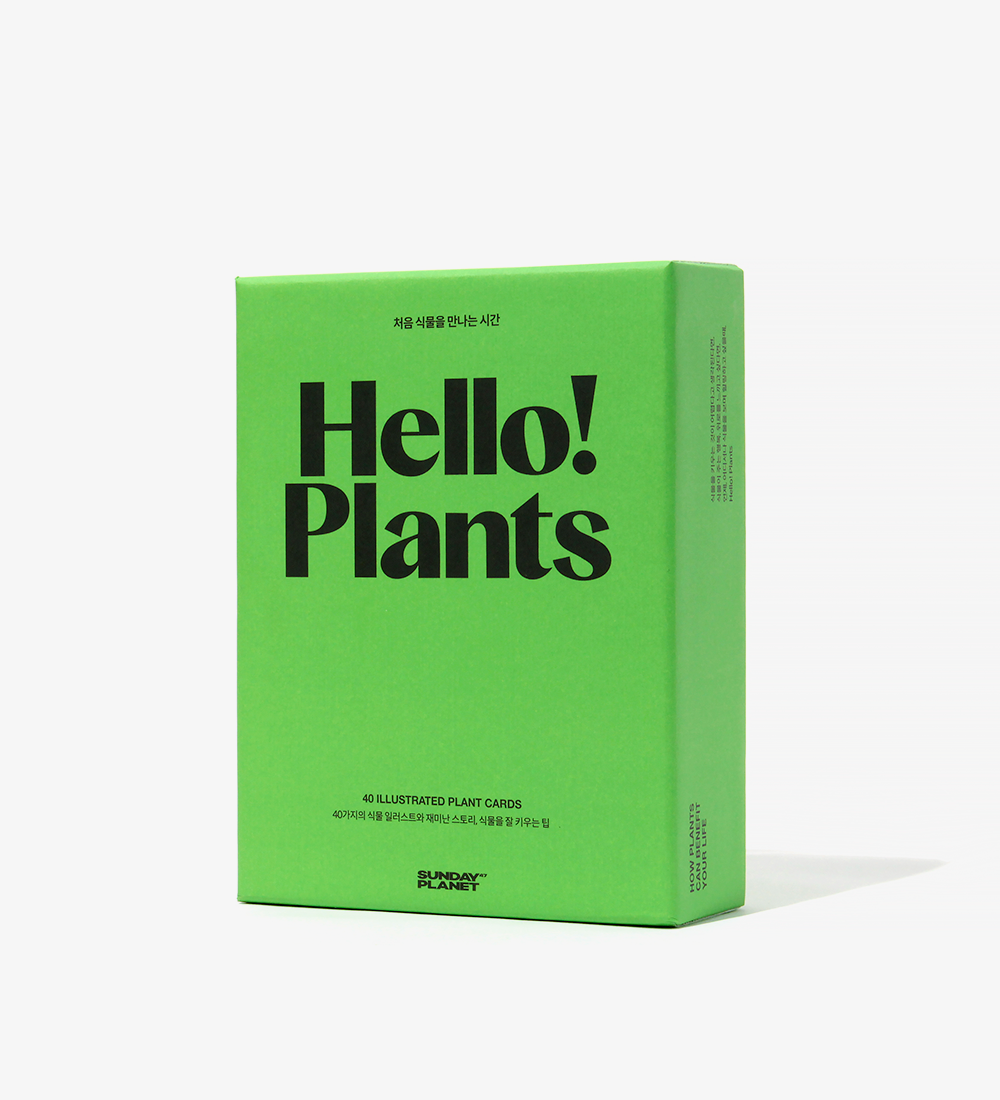 40종 식물 일러스트 스토리 카드. 헬로플랜츠